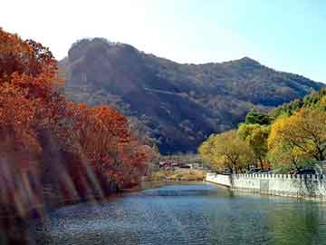 新澳门二四六天天开奖，医药压片机